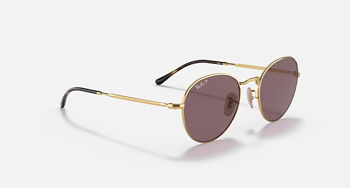 レイバン公式ストア】 Ray-Ban® DAVID サングラス | アリスタゴールド 