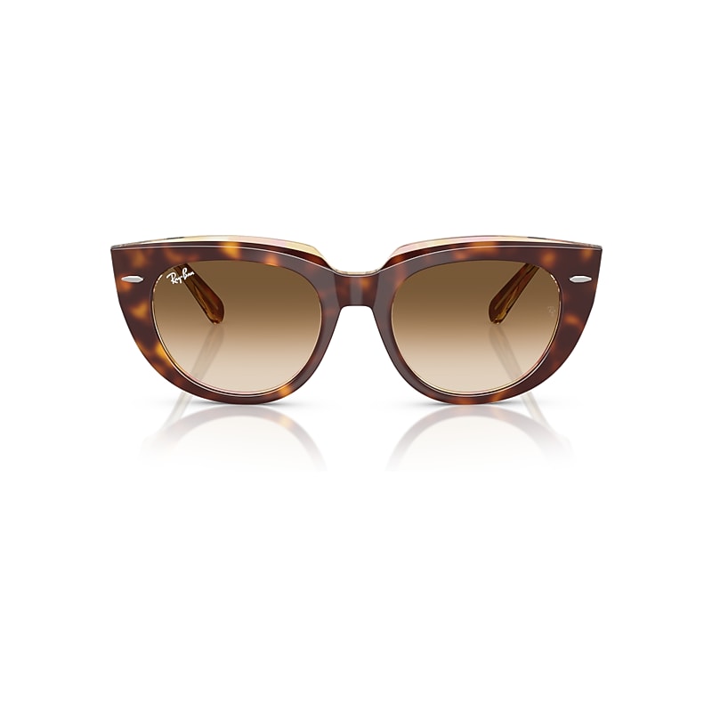 Ray Ban Doreen Sunglasses Light Havana On Transparent Multicolor Frame Brown Lenses 52-20 In Light Havana On Transparent Multicolor