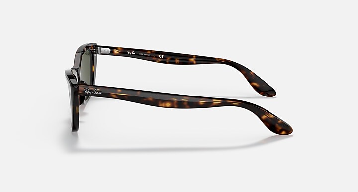 Ray-Ban Sunglasses Lady Burbank Havana Frame Green Lenses