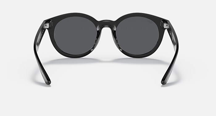Ray-Ban ブラック サングラ　RB4261D Black Sunglasses in Grey and RB4261D - RB4261D | Ray-Ban®