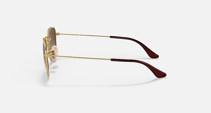 FRANK KIDS Sunglasses in Arista Gold and Brown Gradient - RB9557S