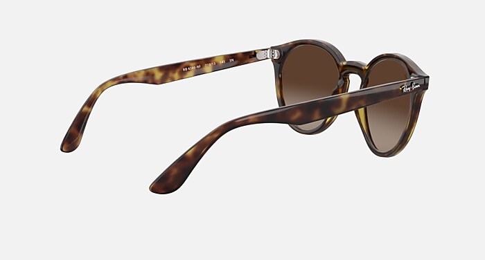 Ray-Ban Blaze Panthos Sunglasses RB4380N Polished Havana Brown Gradient lenses Ray Ban Blaze Panthos Sunglasses RB4380N Brown Frame  main image 2