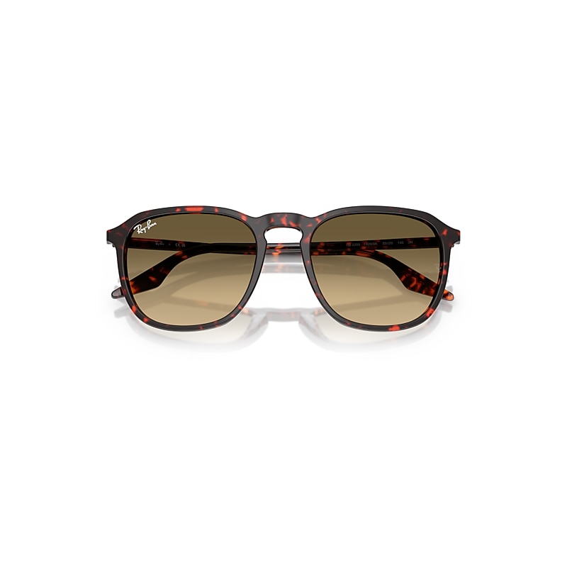 Ray Ban Rb2203 Sunglasses Havana Red Turtle Frame Brown Lenses 55-20 In Havana Red Turtle