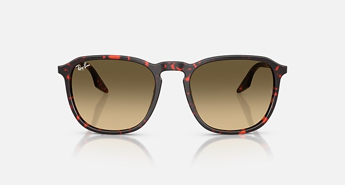 RB2203 Sunglasses in Havana Red Turtle and Brown Vintage 