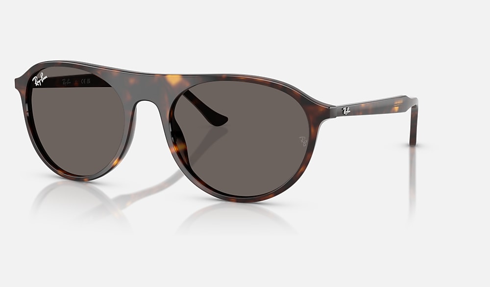 【Ray Ban】★新製品★RB2210F 902/31★ハバナカラーサングラス Ray Ban】☆新製品☆RB2210F 902/31☆ハバナカラーサングラス
