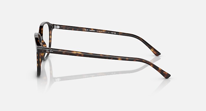 LEONARD TRANSITIONS® Sunglasses in Havana and Clear/Grey