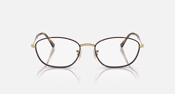 RB3749V OPTICS Eyeglasses with Havana On Gold Frame - RB3749V