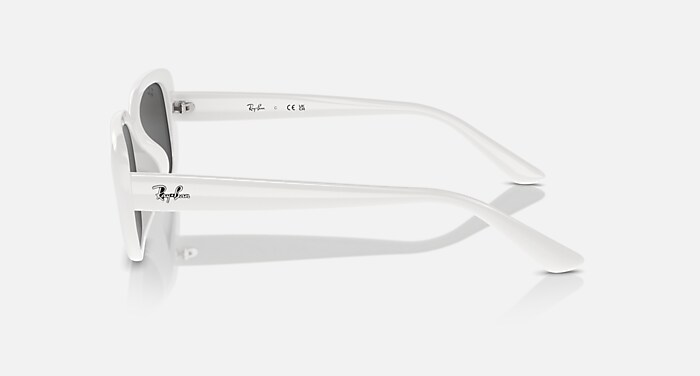 レイバン公式ストア】 Ray-Ban® RB4421D BIO-BASED サングラス 