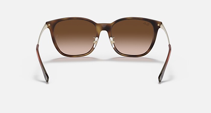 RB4333D Sunglasses in Light Havana and Brown Gradient - RB4333D  