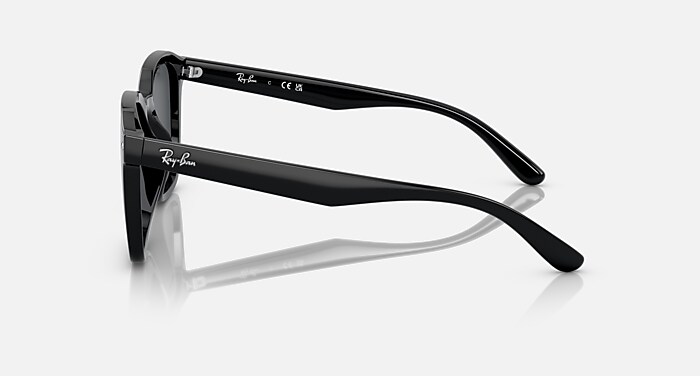 レイバン公式ストア】 Ray-Ban® RB4392D サングラス | ブラック X 