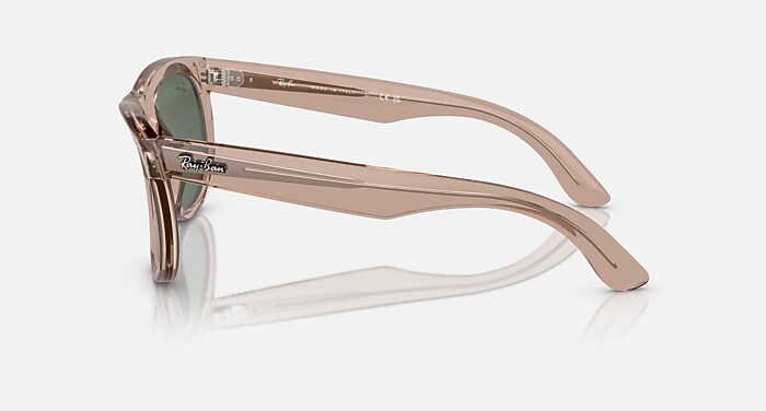WAYFARER REVERSE Sunglasses in Transparent Light Brown and Dark