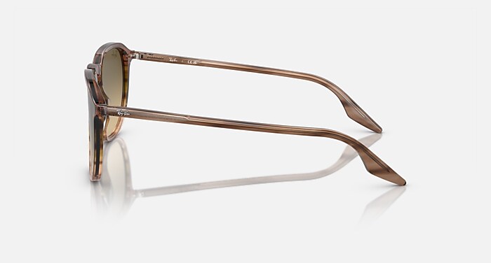 RB2203 Sunglasses in Striped Brown & Green and Brown Black