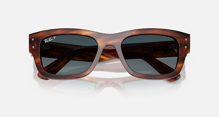 JOSEPH Sunglasses in Striped Havana and Gradient Blue Polarized