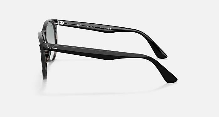 WAYFARER II CLASSIC Sunglasses in Grey Havana and