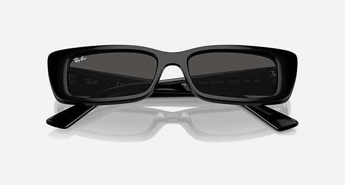 TERU BIO-BASED Sunglasses in Black and Dark Grey - RB4425  display picture 1