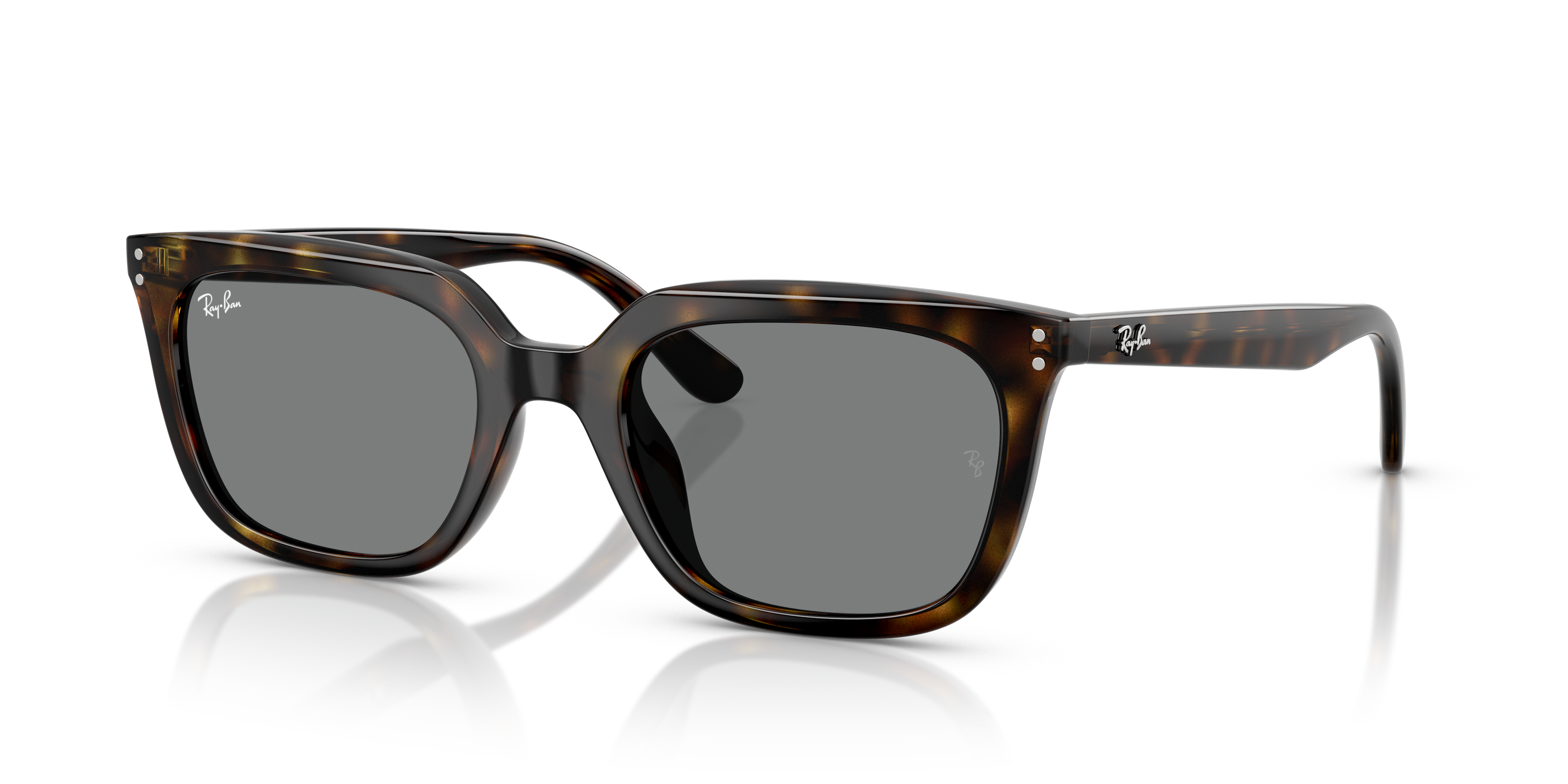 RB4439D Polished Havana Frame Dark Grey Lenses 54-21