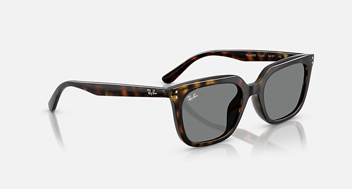 レイバン公式ストア】 Ray-Ban® RB4439D サングラス | ハバナ X