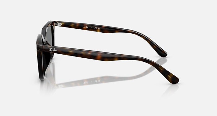 レイバン公式ストア】 Ray-Ban® RB4439D サングラス | ハバナ X