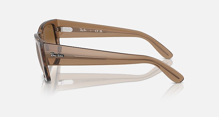 CARLOS Sunglasses in Transparent Light Brown and Clear