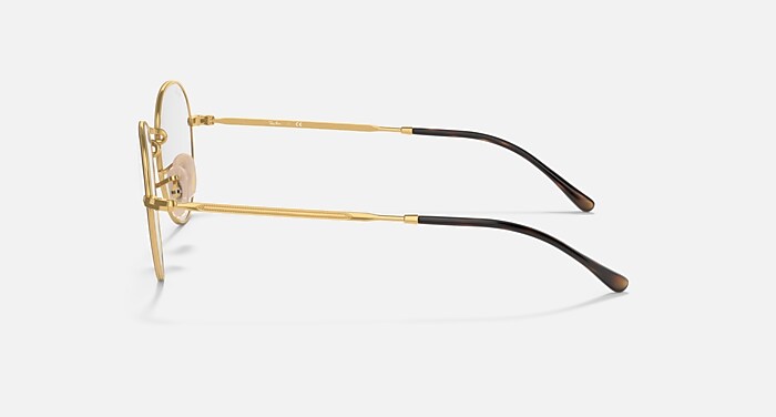 ROUND METAL OPTICS II Eyeglasses with Havana On Gold Frame