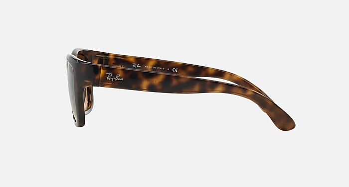 RB4194 Sunglasses in Light Havana and Brown Gradient  display picture 1
