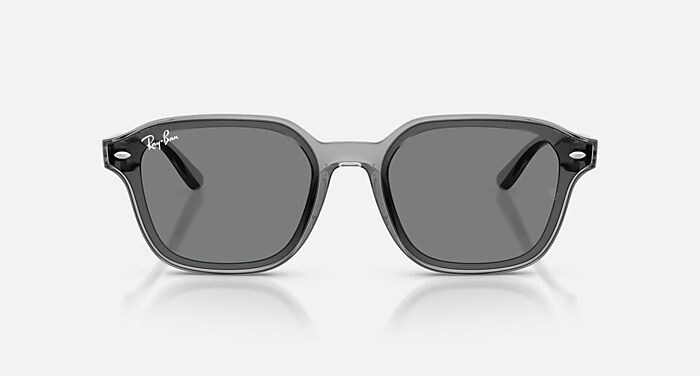 Ray-Ban RB4458D グレー サングラス RB4458D Sunglasses in Transparent Grey and Dark Brown