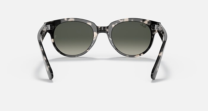 Ray Ban Orion Gray Havana sunglasses Ray-Ban Orion L (52 - 22) with Grey lenses and Tortoise  main image 2