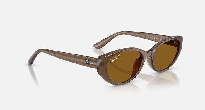 小物 Ray-Ban RB4457D 0RB4457D__667711__P21__shad__q