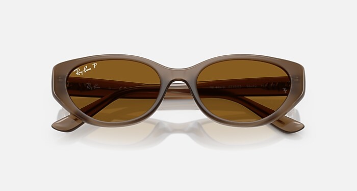 小物 Ray-Ban RB4457D Ray-Ban RB4457D Bio-Based L (55 - 19) with Grey lenses and Black