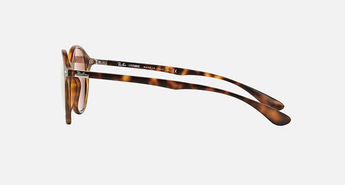 Ray Ban Liteforce 4237 ROUND LITEFORCE Sunglasses in Black and G-15 Green - RB4237  main image 4