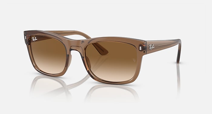 RB4428 Sunglasses in Transparent Light Brown and Clear/Brown