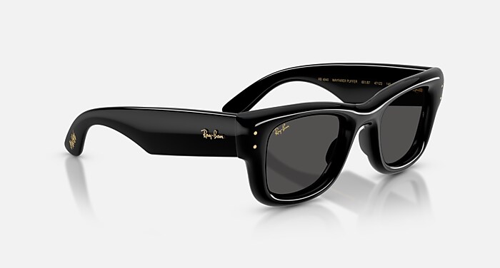 Ray-Ban RB 4290 Sunglasses | FREE Shipping - Go-Optic.com