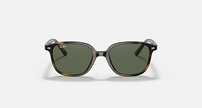 LEONARD KIDS Sunglasses in Havana and Dark Green - RB9093S | Ray