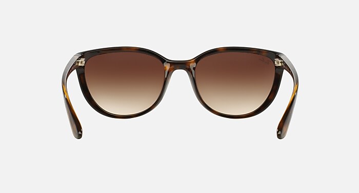 Light Havana Sunglasses in Brown and RB4167 - RB4167 | Ray-Ban® display picture 3