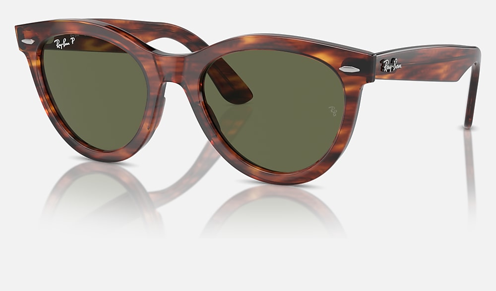 レイバン Ray Ban サングラス レイバン公式ストア】 Ray-Ban® LARRY X THE ONES サングラス