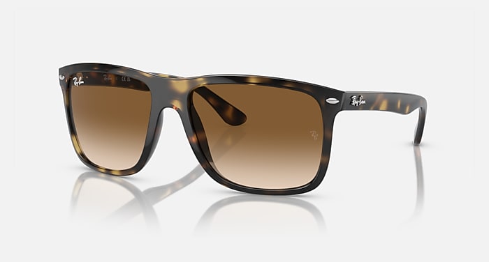 RB4428 Sunglasses in Transparent Light Brown and Light Brown 
