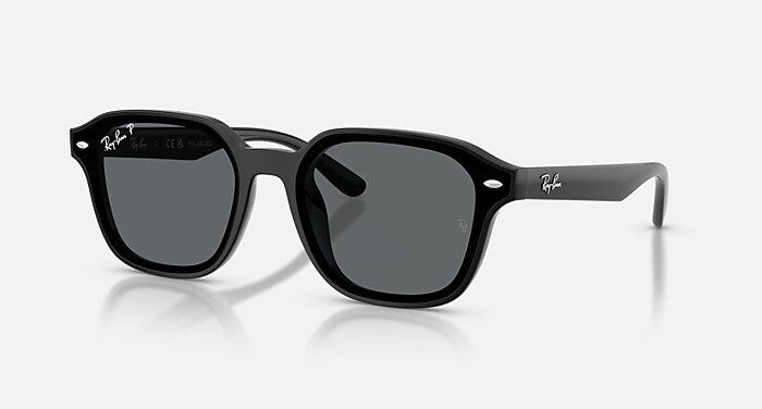 WARREN BIO-BASED Sunglasses in Black and Dark Blue - RB4396F | Ray
