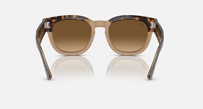 Ray-Ban Sunglasses Mega Hawkeye Havana On Transparent Brown Frame Brown Lenses