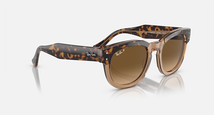 MEGA HAWKEYE Sunglasses in Havana On Transparent Brown and  display picture 2