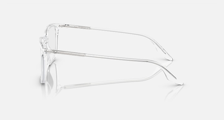 RB5421 OPTICS RB5421 2001 53-19