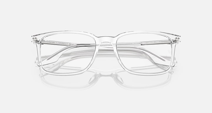 RB5421 OPTICS RB5421 2001 53-19