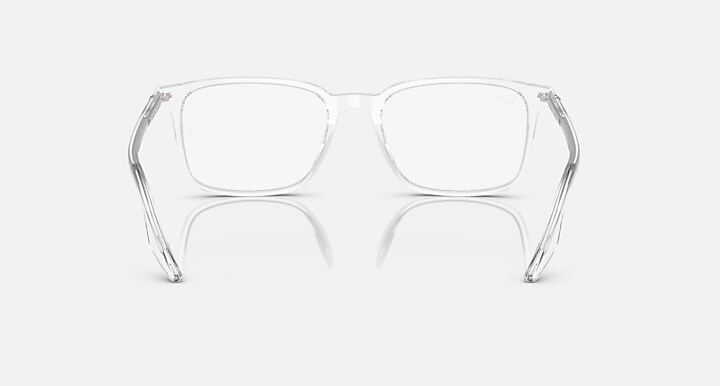 RB5421 OPTICS RB5421 2001 53-19