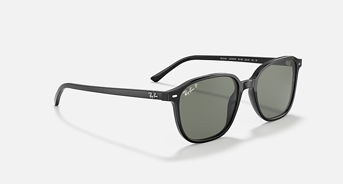 LEONARD Sunglasses in Black and G-15 Green - RB2193 | Ray-Ban®