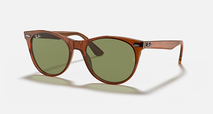 WAYFARER II CLASSIC Sunglasses in Havana On Transparent