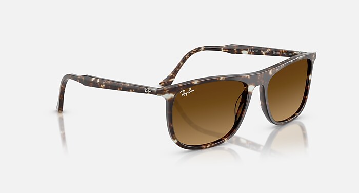 レイバン公式ストア】 Ray-Ban® RB2216 サングラス | ハバナ