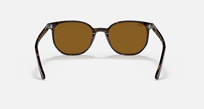 ELLIOT Sunglasses in Havana and Brown - RB2197 | Ray-Ban® US