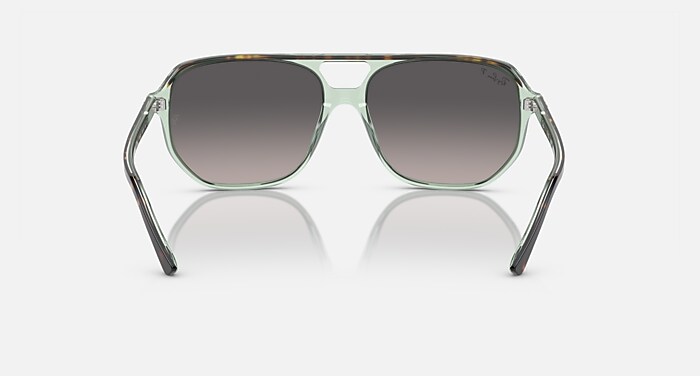 RayBan レイバン　RB2205 BILL ONE ポリッシュハバナ Sunglasses Ray-Ban RB2205 Bill One | Free Shipping | Glasses
