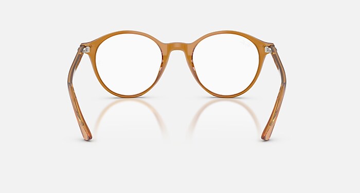 Ray-Ban Eyeglasses Bernard Optics Havana Frame Clear Lenses