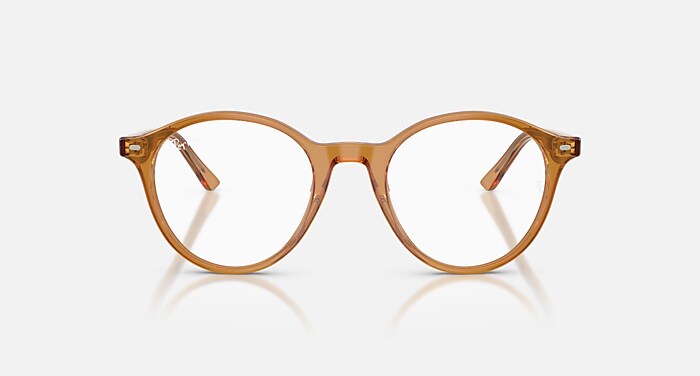Ray-Ban Eyeglasses Bernard Optics Havana Frame Clear Lenses