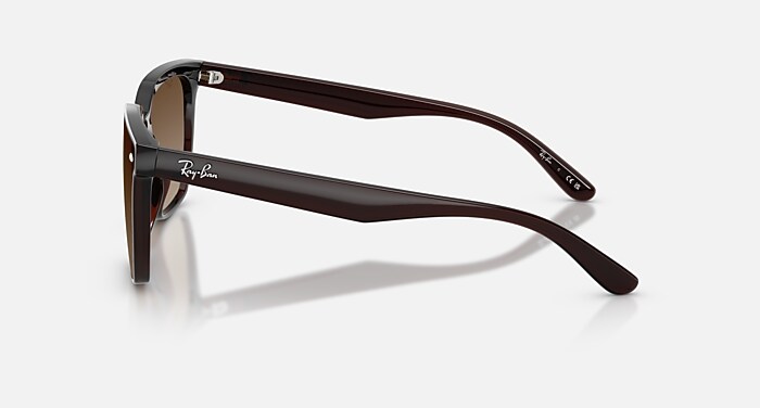 Ray-Ban サングラス ブラウンレンズ レイバン公式ストア】 Ray-Ban® RB4466D サングラス | 透明